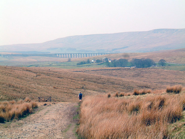 Descending from Cam Fell to Ribblesdale