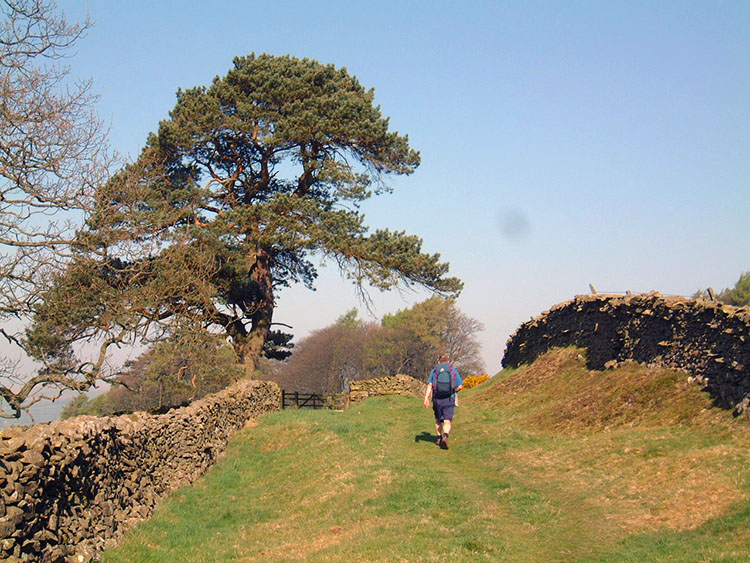 On the edge of Frostrow Fells