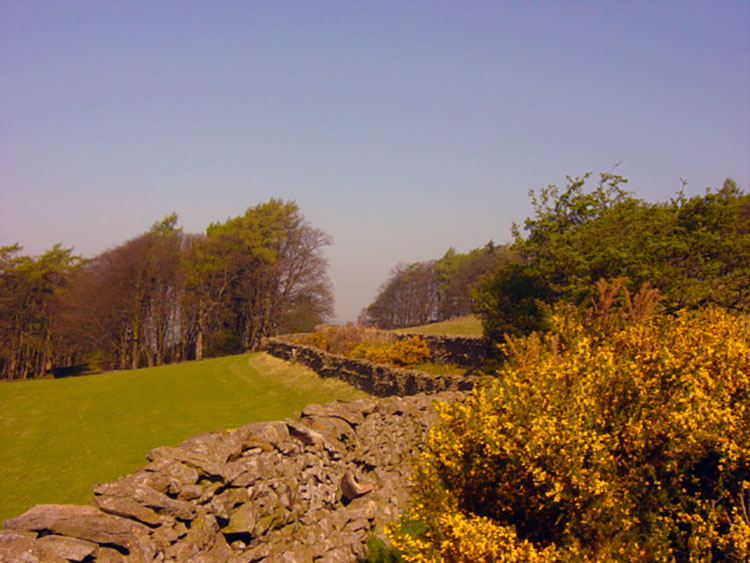 Approaching Sedbergh on the Dales Way