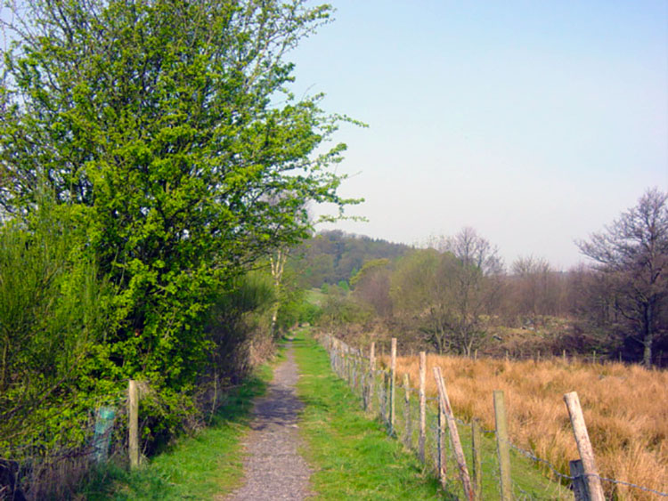 Dales Way near Burneside