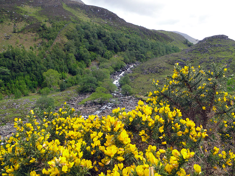 Glen Shiel