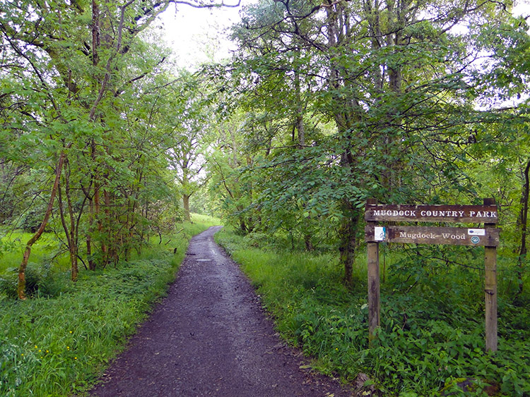 Mugdock Wood