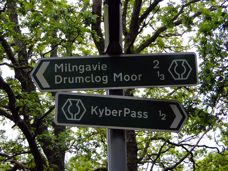 Nearing Milngavie