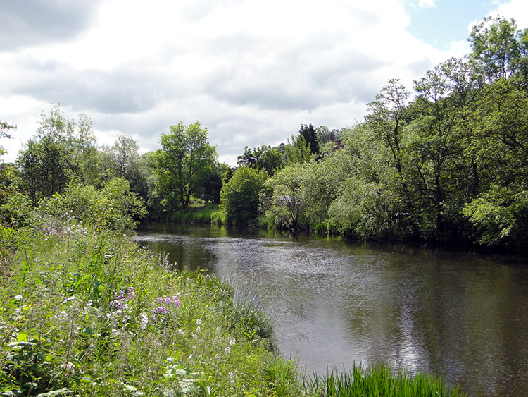 River Clyde near Dalserf