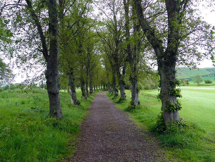 Walking along the lane through Biggar Golf Course