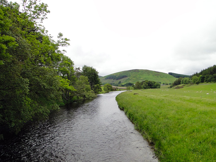 River Tweed at Merlindale Bridge