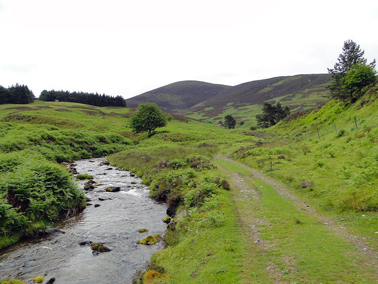 Heading into the hills