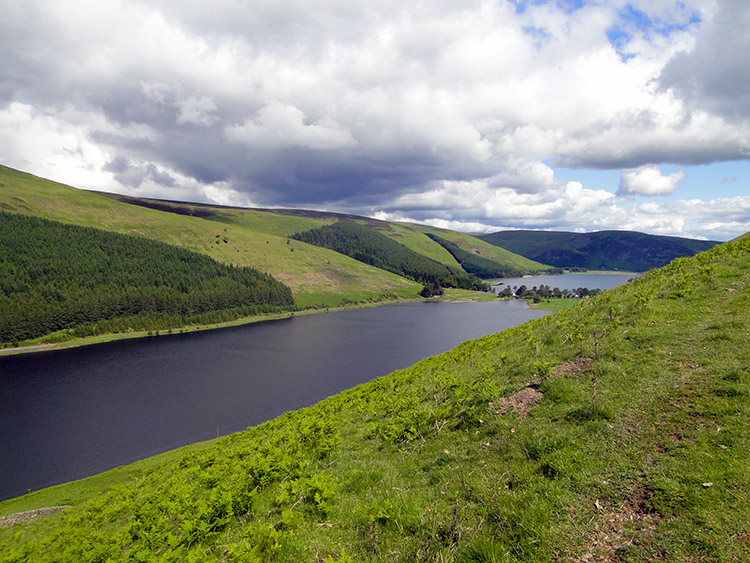 Loch of the Lowes and St Mary's Loch