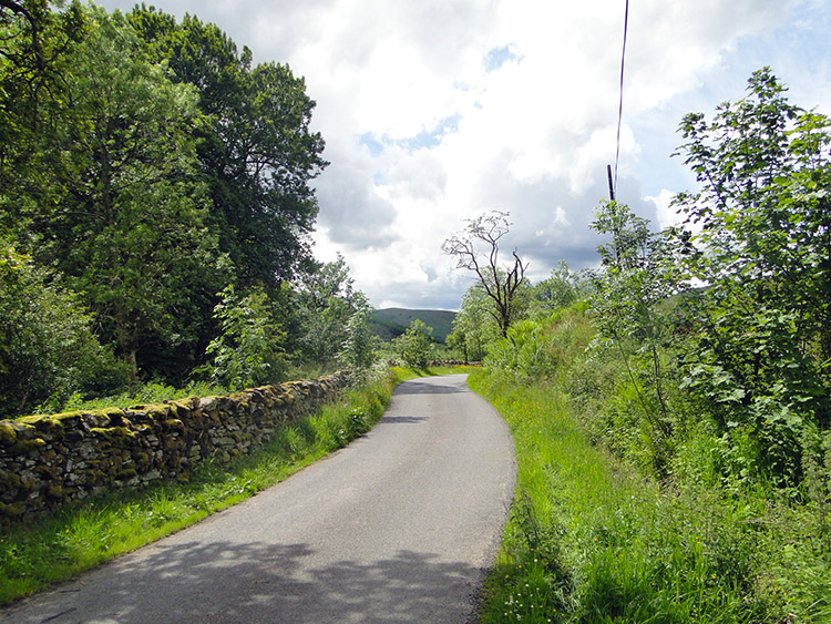 Ettrick Dale