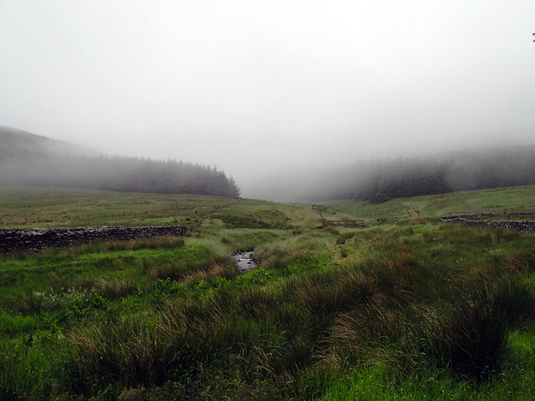 Miserable morning in Ettrick