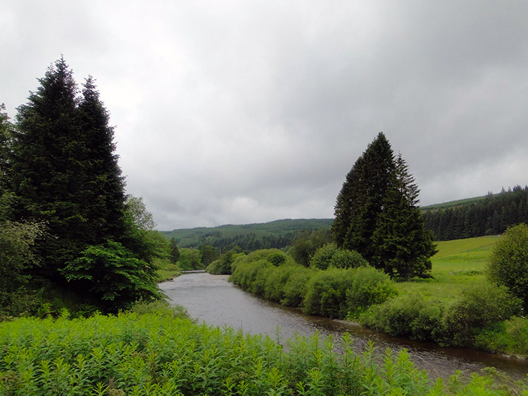 River Esk at Enzieholm Bridge