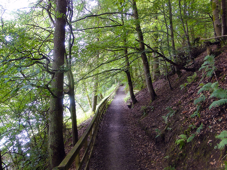 Easton's Walk