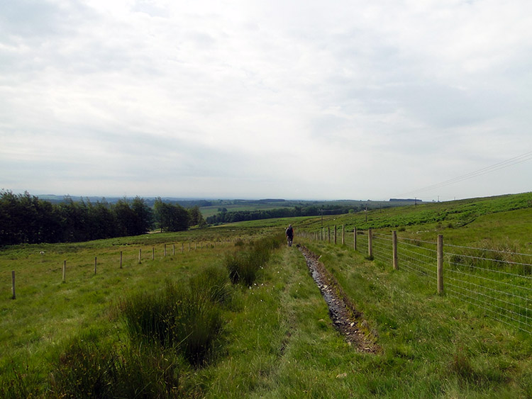 Last wilderness of Scotland