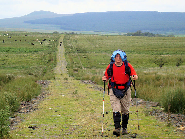 Walking across Irvine Moss