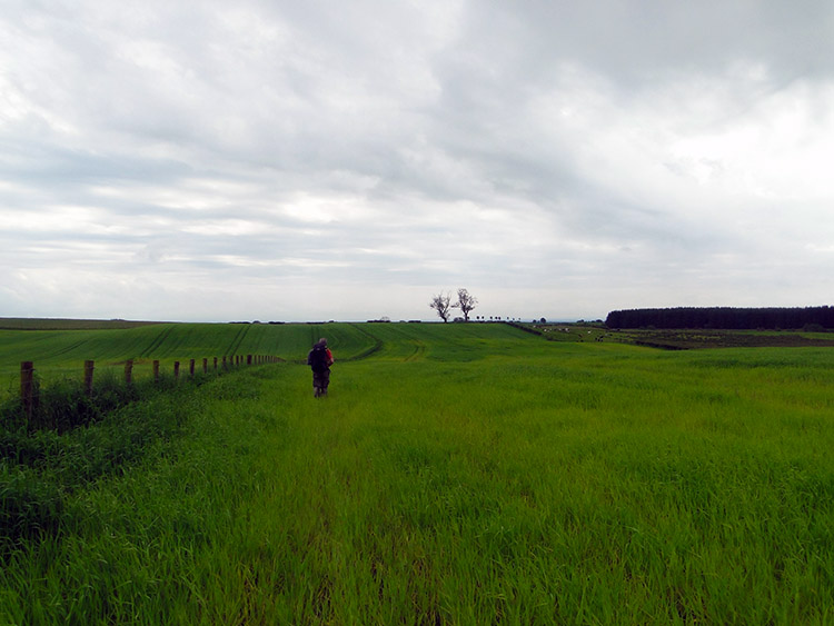 Field crossing near Evertown