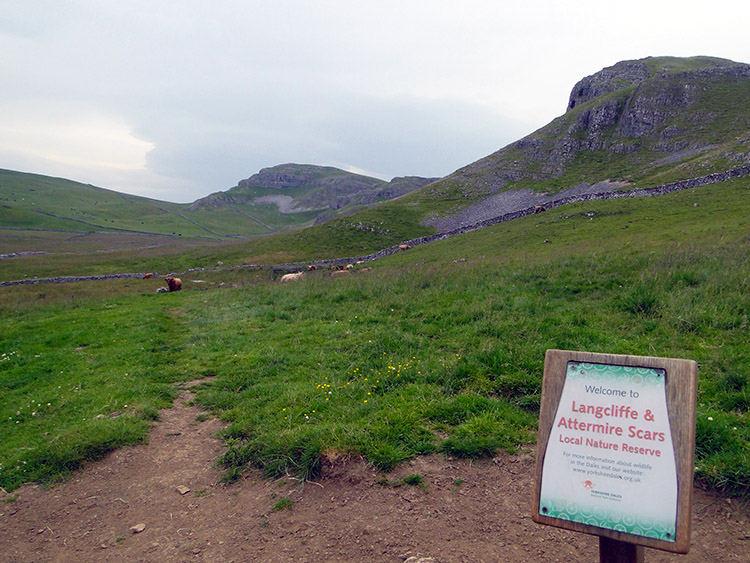 The scars as seen from Kirkby Fell