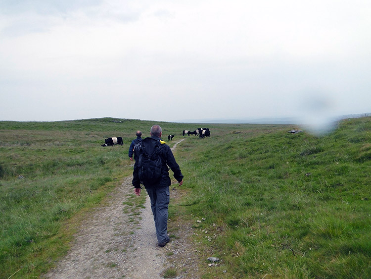 Approaching the Galloways