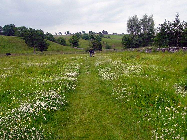 Following the River Aire to Hanlith