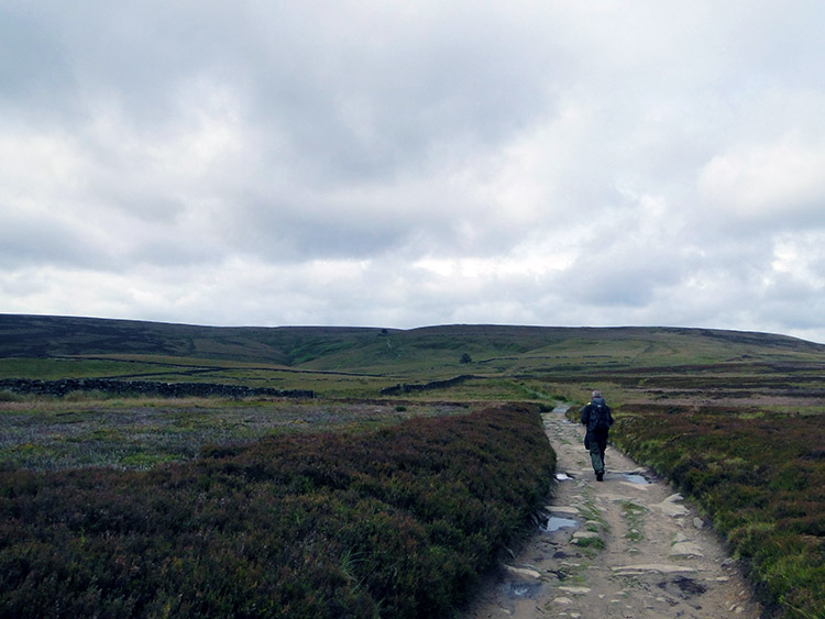 Stanbury Moor