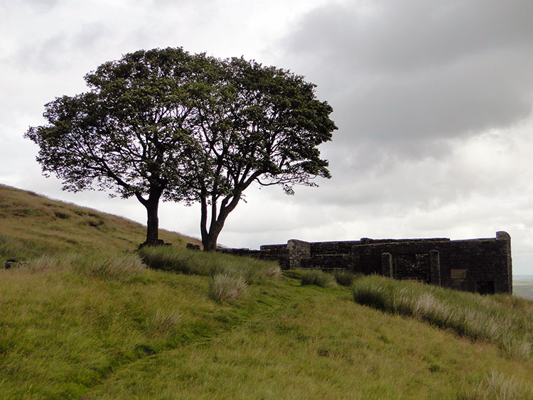 Ruins of Withins