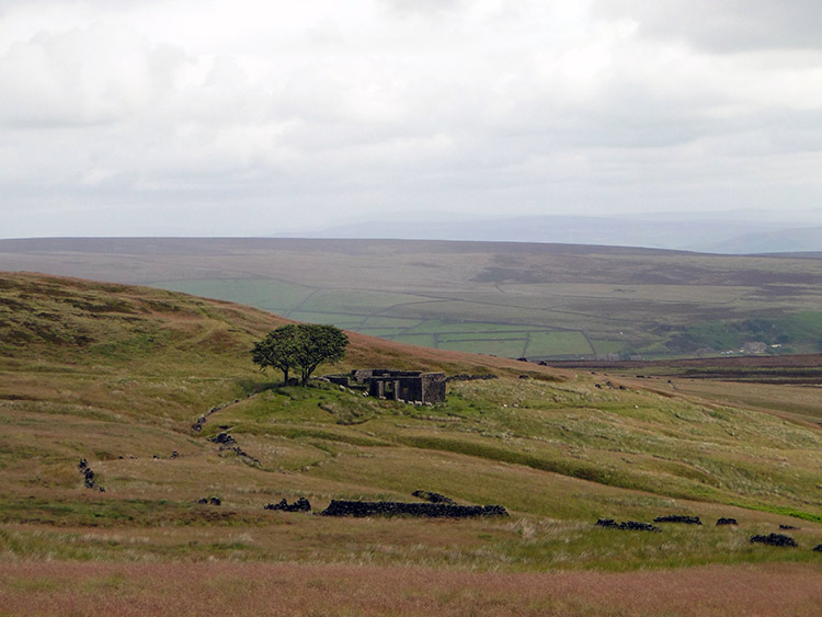 Bronte moorland