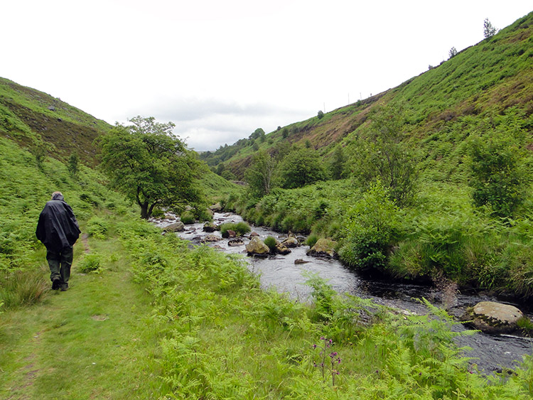 Alcomden Water