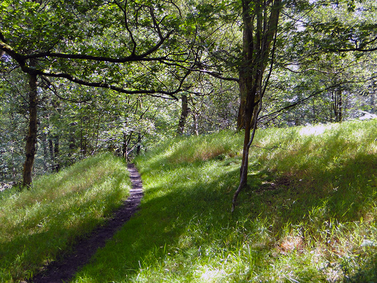 Hollingworth Nature Reserve