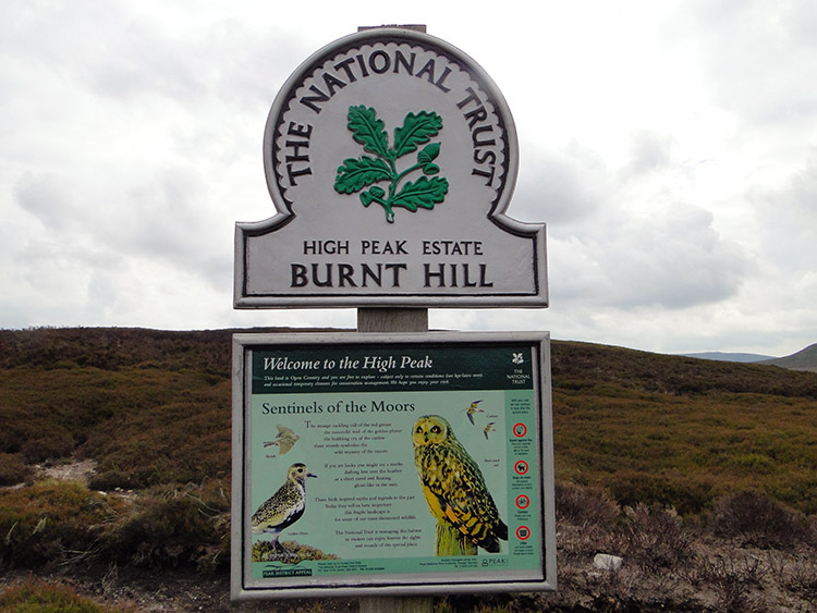 Burnt Hill