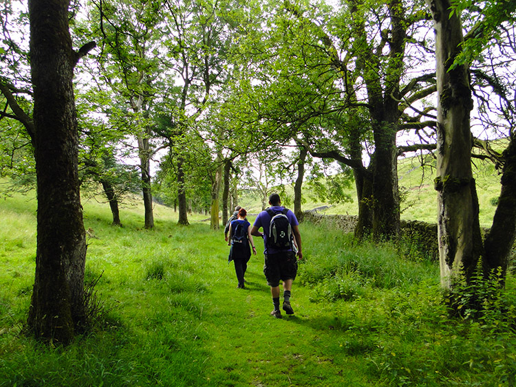 On our way through Hay Dale