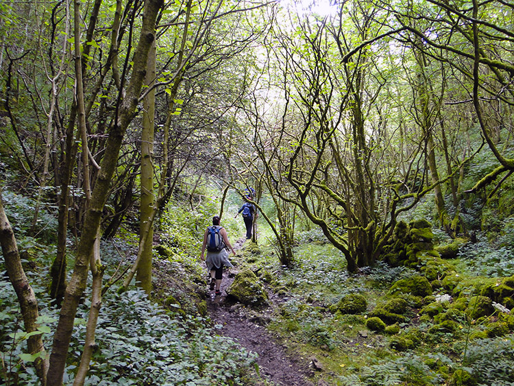 Walking through Monk's Dale