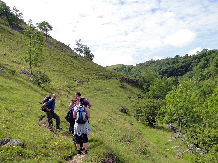 Into the open near Miller's Dale