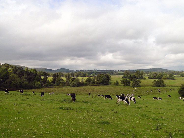 South of Hartington