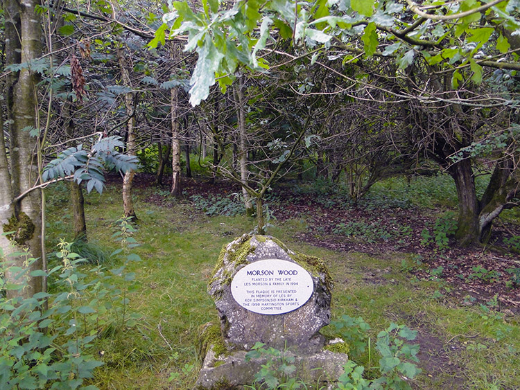 Morson Wood