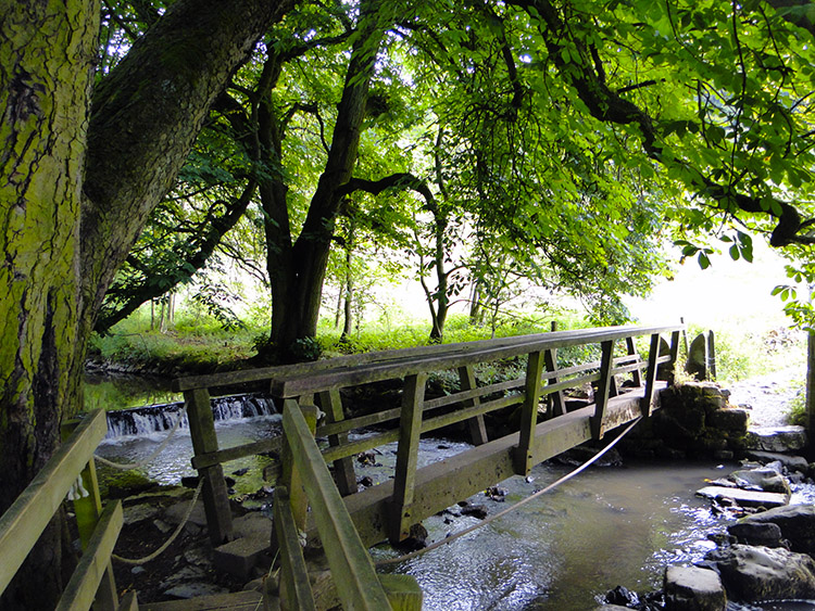 Footbridge in Beresford Dale