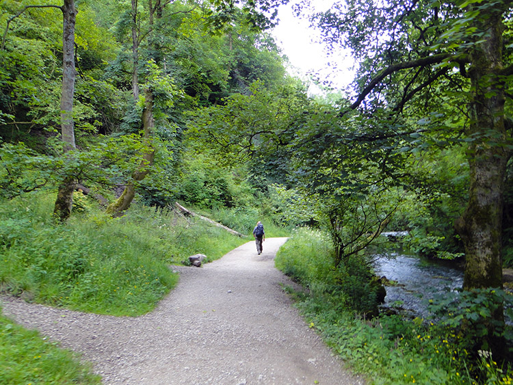 Near Pickering Tor