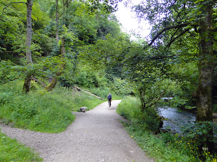 Near Pickering Tor