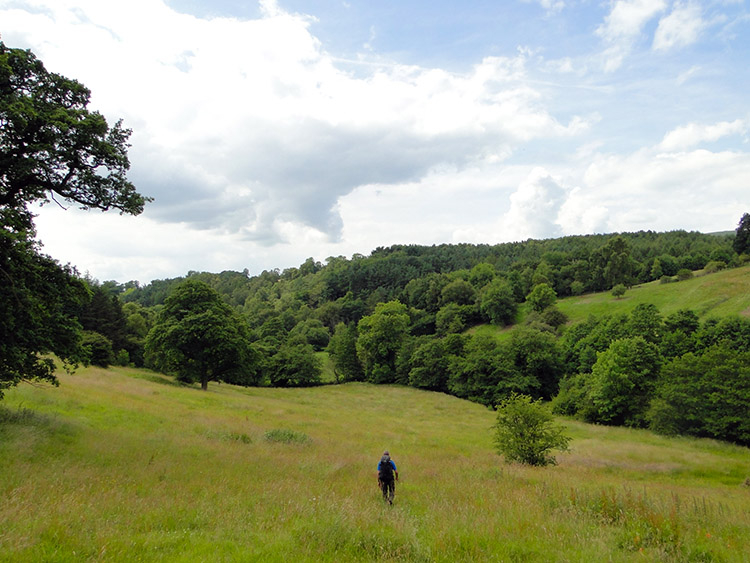 Stanton Wood