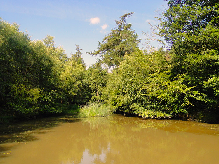 Pond fed by Red Brook