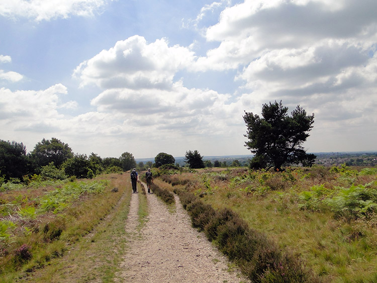 Gentleshaw Common