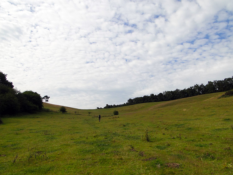 Field beside Gorsey Hill