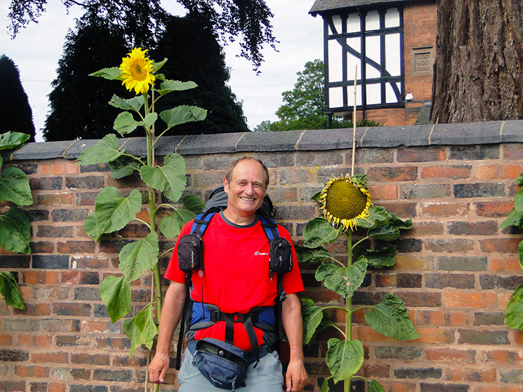 The Sunflower Kid