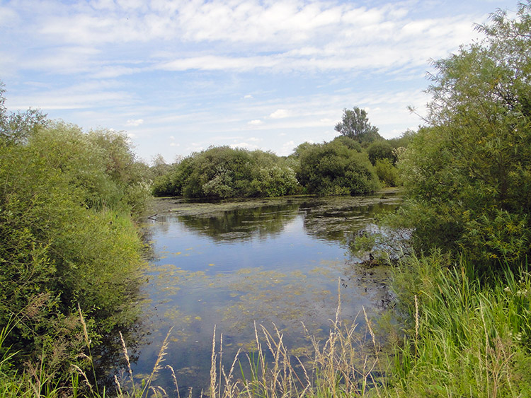 Kingsbury Water Park