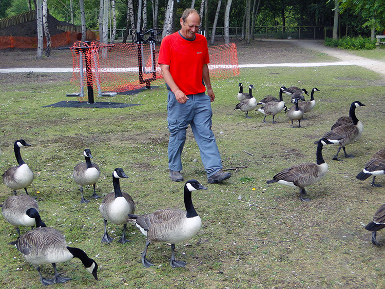 Me and the Geese