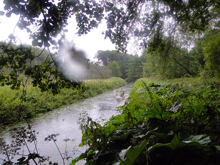 River Bourne near Shustoke