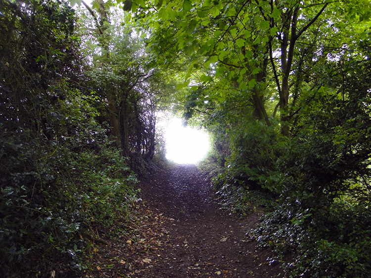 Near Rowington Bridge