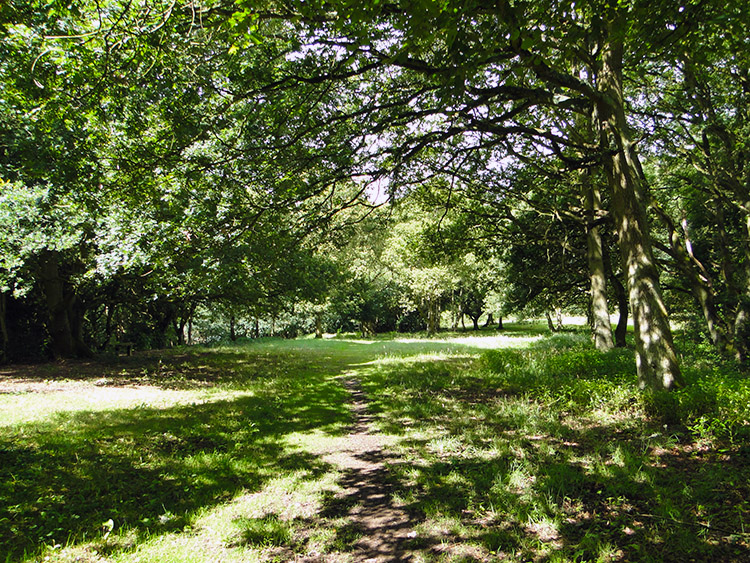 Yarningale Common