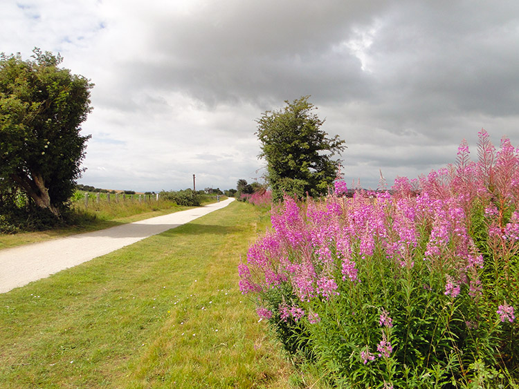 Colour on the Greenway