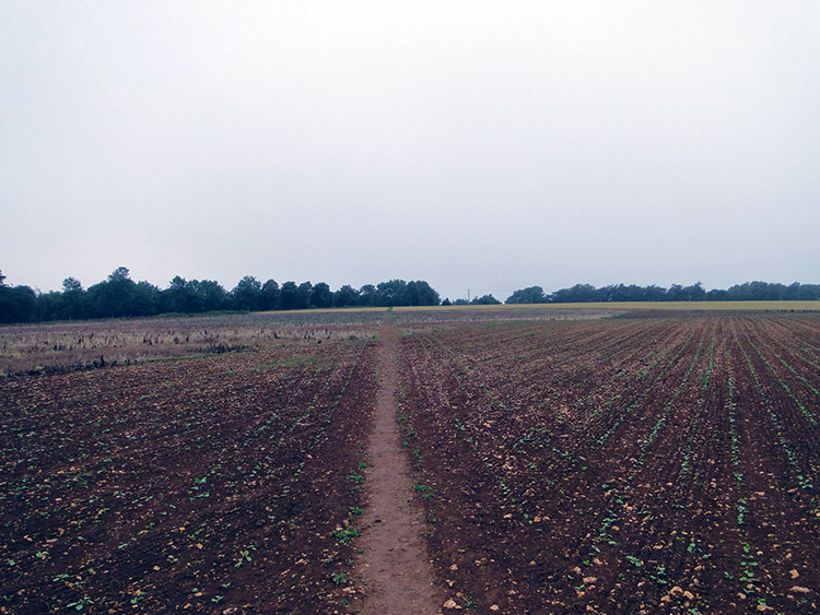 Approaching Fish Hill