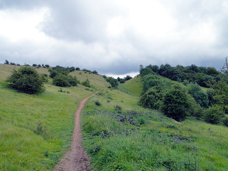 Bill Smyllies Reserve