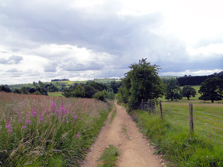 Track near Hartley Hill